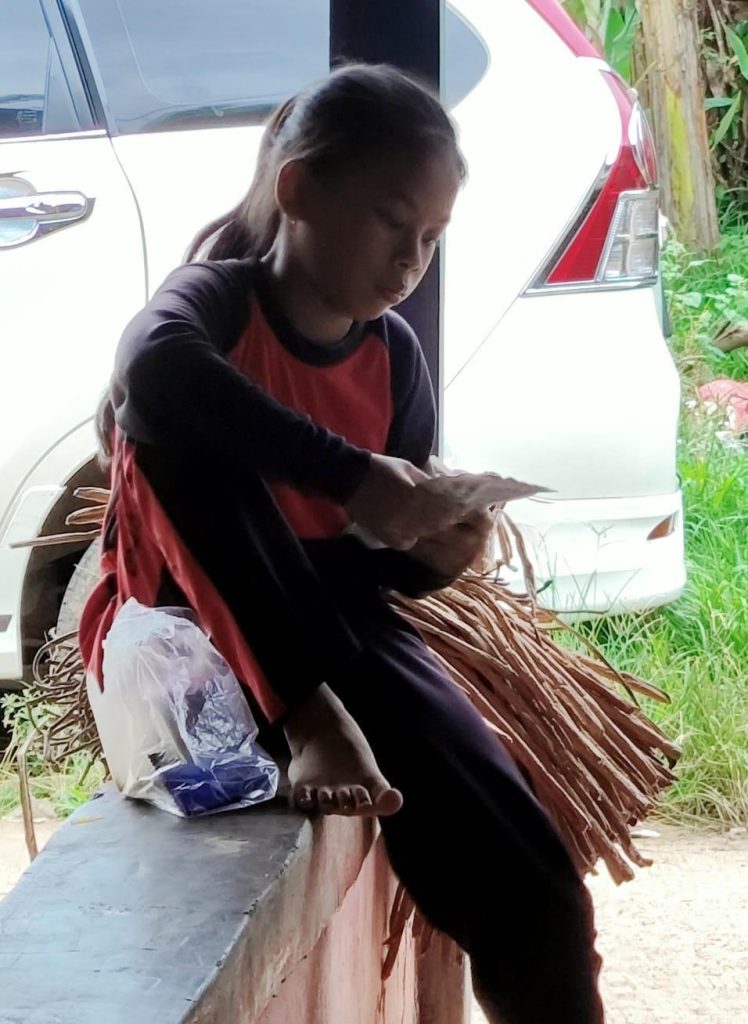 Yayasan Mahija parahita nusantara